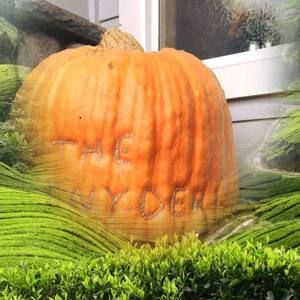 Meet your Posher, Diane